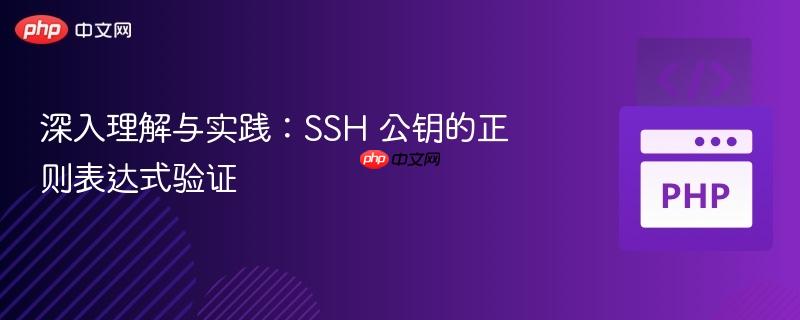 深入理解与实践：SSH 公钥的正则表达式验证