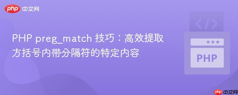 PHP preg_match 技巧:高效提取方括号内带分隔符的特定内容
