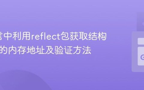 Go语言中利用reflect包获取结构体字段的内存地址及验证方法