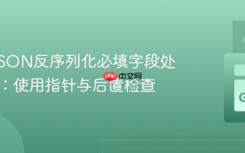 Go中JSON反序列化必填字段处理策略：使用指针与后置检查