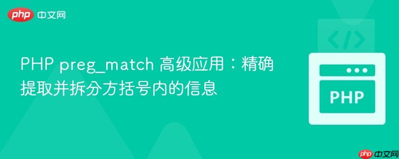 PHP preg_match 高级应用:精确提取并拆分方括号内的信息
