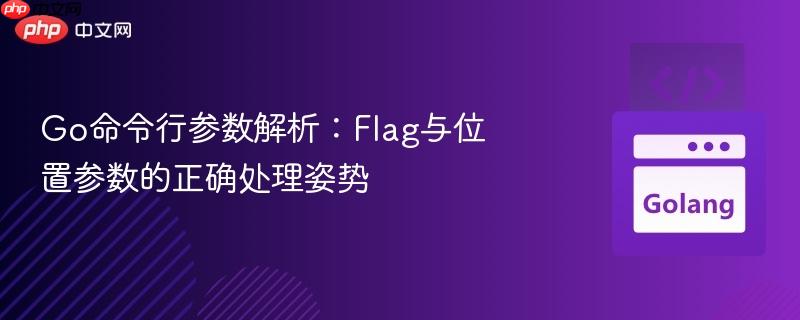 Go命令行参数解析:Flag与位置参数的正确处理姿势