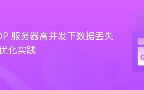 Go UDP 服务器高并发下数据丢失问题与优化实践