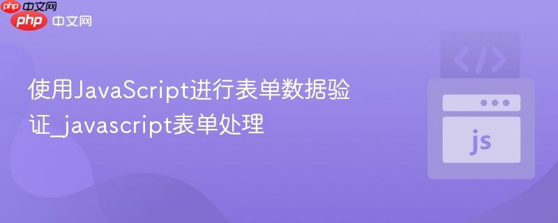 使用JavaScript进行表单数据验证_javascript表单处理