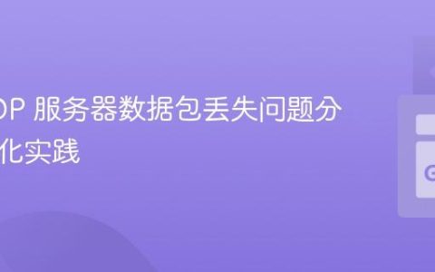 Go UDP 服务器数据包丢失问题分析与优化实践