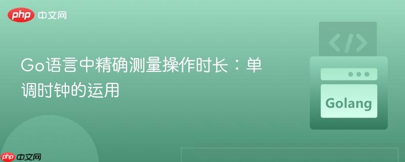 Go语言中精确测量操作时长:单调时钟的运用