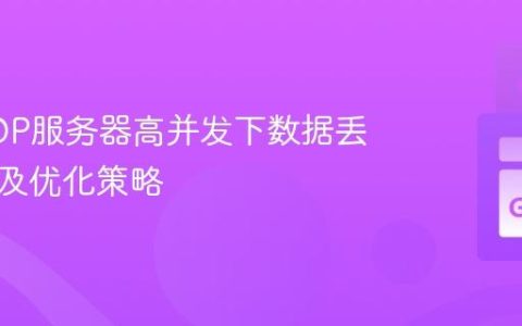Go UDP服务器高并发下数据丢失问题及优化策略