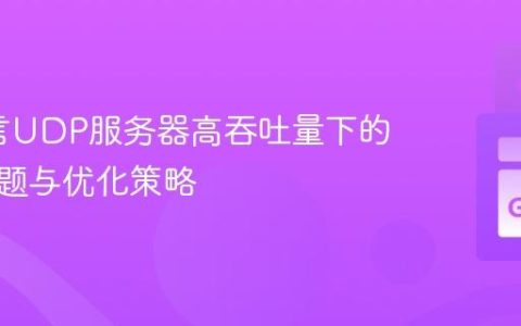 Go语言UDP服务器高吞吐量下的丢包问题与优化策略