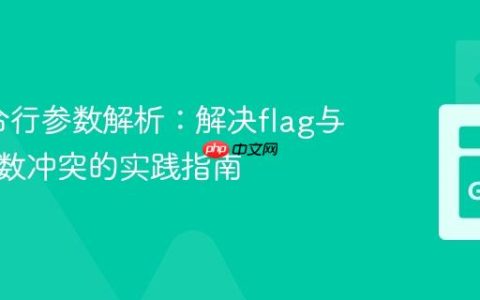 Go命令行参数解析：解决flag与位置参数冲突的实践指南