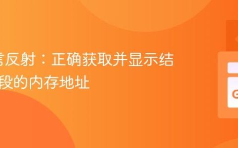 Go语言反射：正确获取并显示结构体字段的内存地址