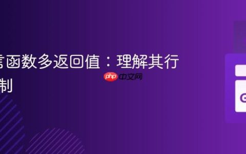 Go语言函数多返回值：理解其行为与限制