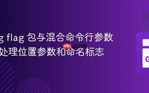 Golang flag 包与混合命令行参数：正确处理位置参数和命名标志