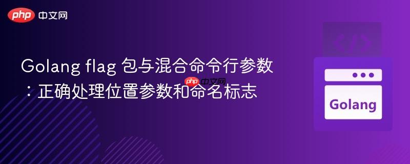 Golang flag 包与混合命令行参数:正确处理位置参数和命名标志