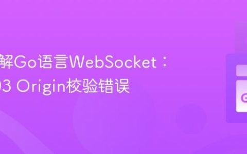 深入理解Go语言WebSocket：解决403 Origin校验错误