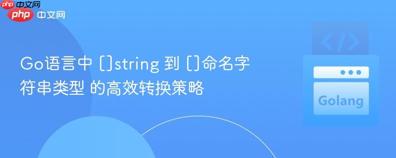 Go语言中 []string 到 []命名字符串类型 的高效转换策略