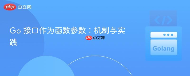 Go 接口作为函数参数:机制与实践