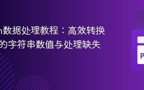 Python数据处理教程：高效转换带单位的字符串数值与处理缺失值