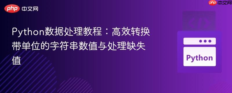 Python数据处理教程:高效转换带单位的字符串数值与处理缺失值