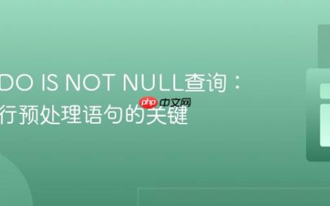 PHP PDO IS NOT NULL查询：正确执行预处理语句的关键