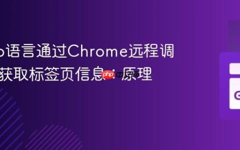 使用Go语言通过Chrome远程调试协议获取标签页信息：原理与实践