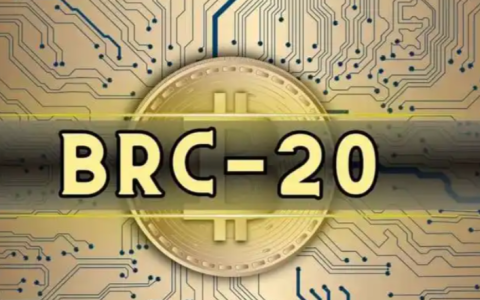 BRC-20铭文生态宝典：详解Ordinals、Atomicals等核心协议