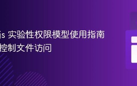 Node.js 实验性权限模型使用指南：安全控制文件访问