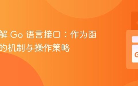 深入理解 Go 语言接口：作为函数参数的机制与操作策略