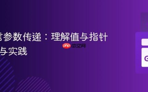 Go语言参数传递：理解值与指针的抉择与实践