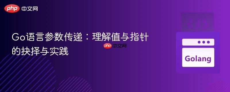 Go语言参数传递:理解值与指针的抉择与实践