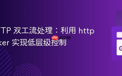Go HTTP 双工流处理：利用 http.Hijacker 实现低层级控制