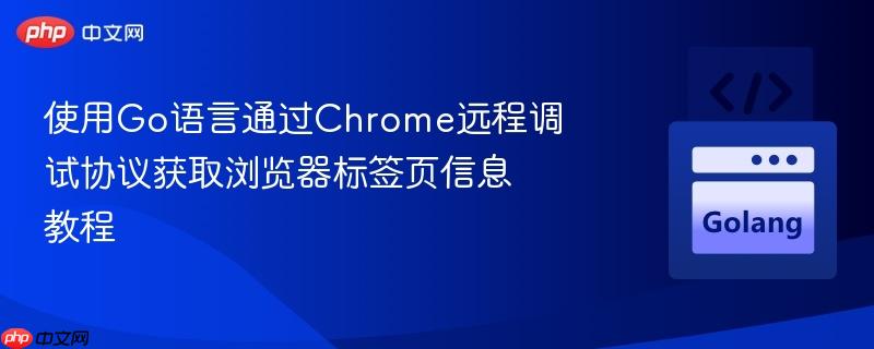 使用Go语言通过Chrome远程调试协议获取浏览器标签页信息教程