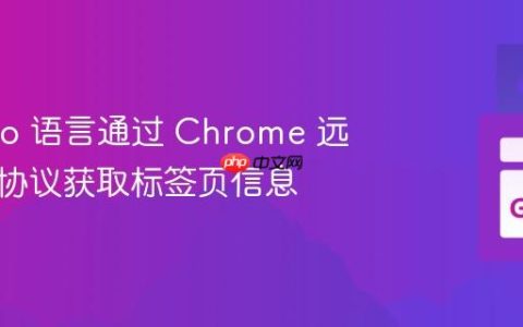 利用 Go 语言通过 Chrome 远程调试协议获取标签页信息
