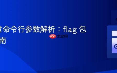 Go语言命令行参数解析：flag 包实用指南