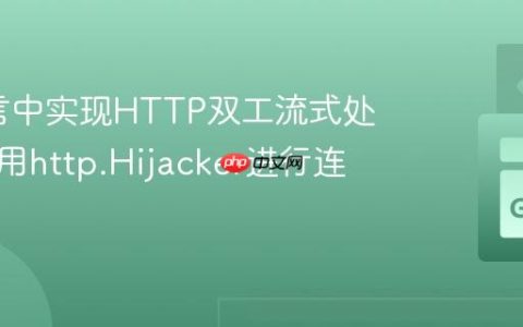 Go语言中实现HTTP双工流式处理：利用http.Hijacker进行连接劫持