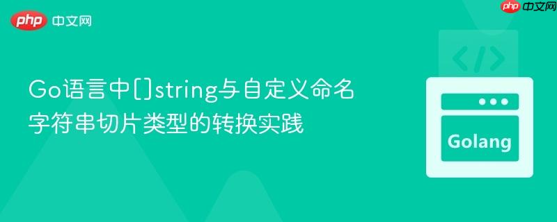 go语言中[]string与自定义命名字符串切片类型的转换实践