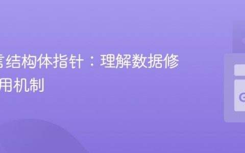 Go语言结构体指针：理解数据修改的引用机制