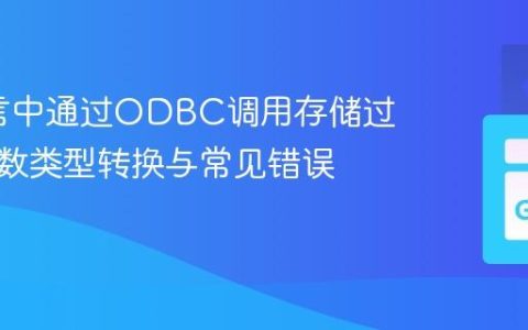 Go语言中通过ODBC调用存储过程的参数类型转换与常见错误解析