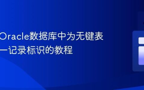在只读Oracle数据库中为无键表生成唯一记录标识的教程