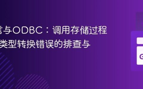Go语言与ODBC：调用存储过程时参数类型转换错误的排查与解决