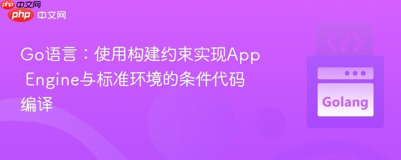 Go语言:使用构建约束实现App Engine与标准环境的条件代码编译