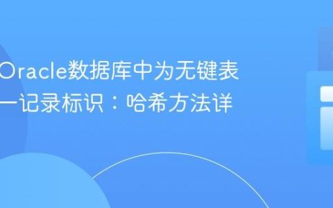 在只读Oracle数据库中为无键表生成唯一记录标识：哈希方法详解