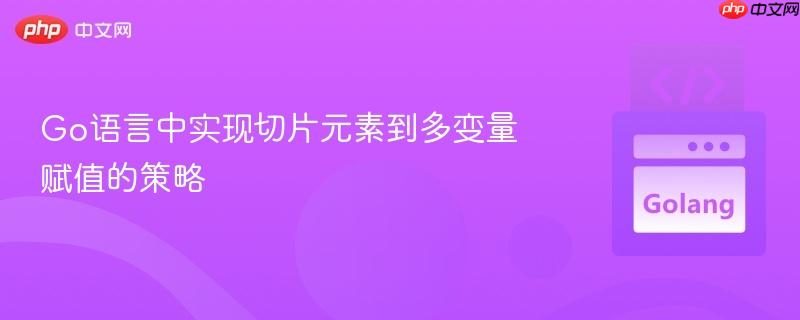 Go语言中实现切片元素到多变量赋值的策略