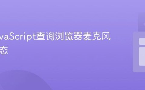 使用JavaScript查询浏览器麦克风权限状态