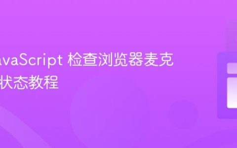 使用 JavaScript 检查浏览器麦克风权限状态教程