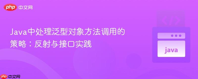 Java中处理泛型对象方法调用的策略:反射与接口实践