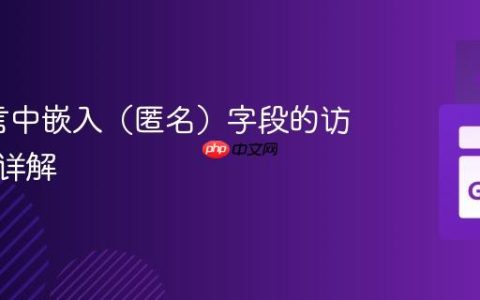 Go语言中嵌入（匿名）字段的访问方法详解
