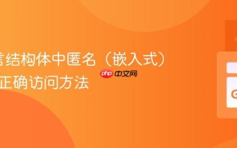 Go语言结构体中匿名（嵌入式）字段的正确访问方法