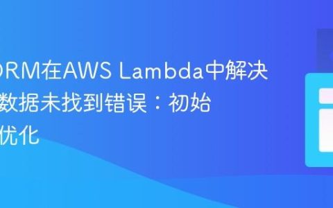 TypeORM在AWS Lambda中解决实体元数据未找到错误：初始化策略优化