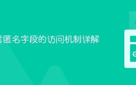 Go语言匿名字段的访问机制详解