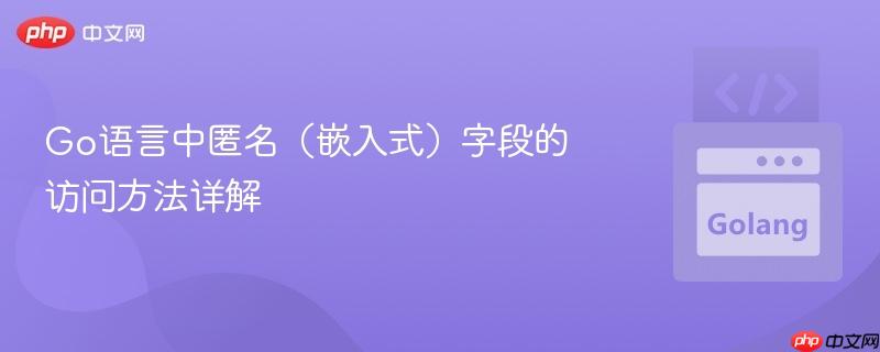 Go语言中匿名(嵌入式)字段的访问方法详解